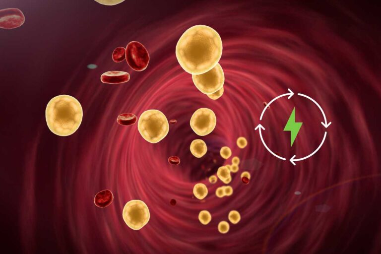 Come abbassare il colesterolo senza farmaci: il sistema più efficiente